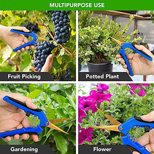 Градински ножици iPower 6,5 Инча, Ръчни Ножици за градинарство и резитба, с Извити Прецизионными остриета с титанов щанга с покритие,